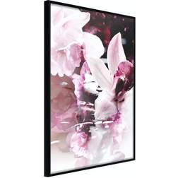 Arkiio Affisch Sleepy Orchid [Poster] 40x60 Poster